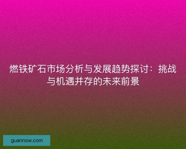 燃铁矿石市场分析与发展趋势探讨：挑战与机遇并存的未来前景
