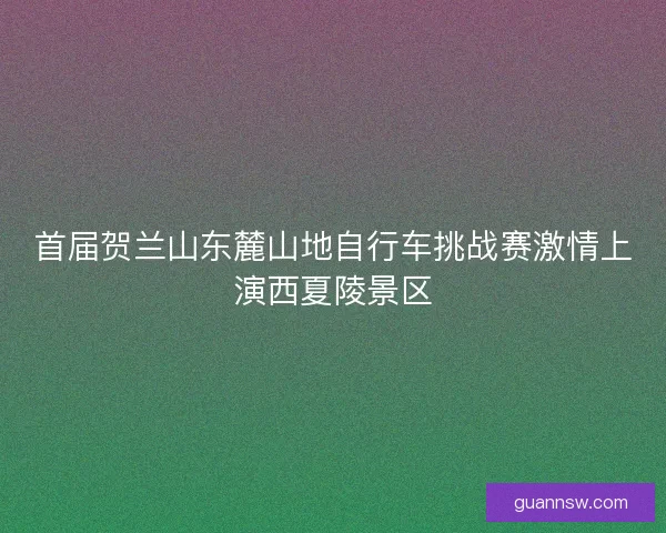 首届贺兰山东麓山地自行车挑战赛激情上演西夏陵景区